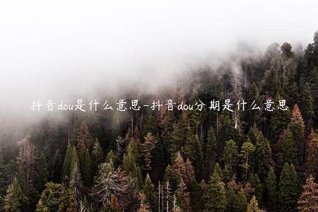 抖音dou是什么意思-抖音dou分期是什么意思